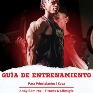 Guía de entrenamiento para principiantes